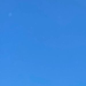 Meet your Posher, Sally-ann